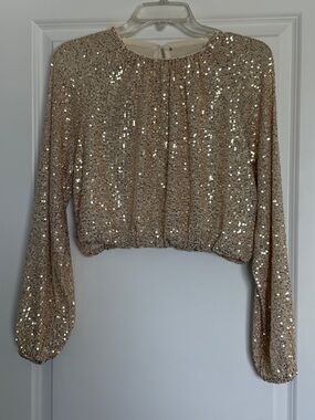 Vintage Sequin Long-Sleeve Cropped Top - Champagne size Small